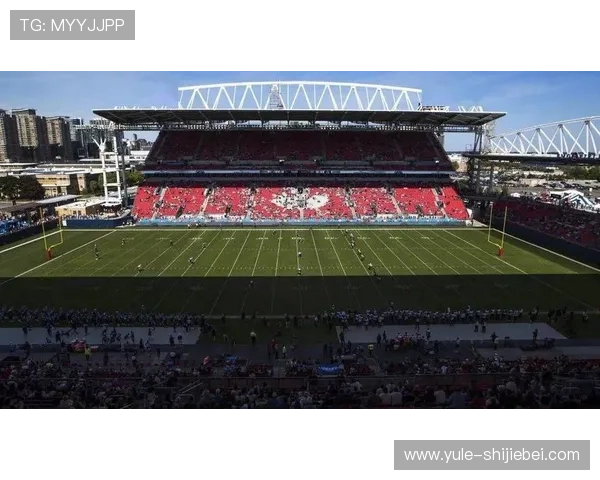 2026年世界杯在哪个国家举行，赛事地点及相关准备工作分析