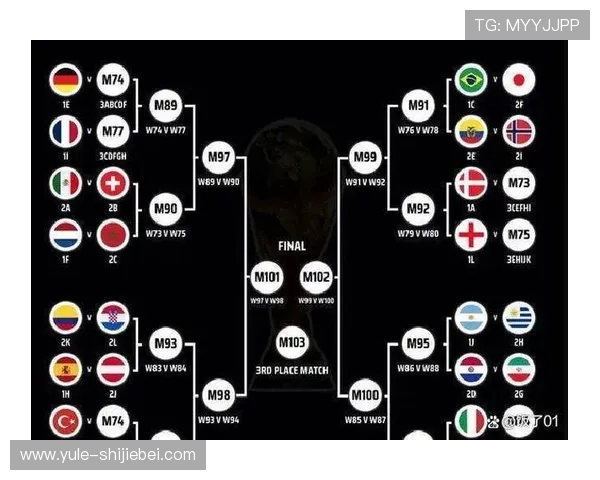 2026年世界杯各州分配对不同地区的影响及相关政策解读