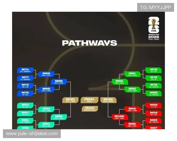 2026年足球世界杯最新参赛球队名单公布详细分析未来晋级形势预测