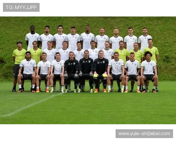 全面解读世界杯葡萄牙队赔率信息,助你科学制定竞猜策略赢取丰厚奖金