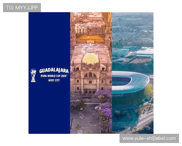 2026年世界杯举办地点对比：不同国家和城市的优势与特色