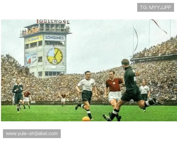 深入报道世界杯现场的幕后故事带你了解比赛背后的精彩细节与精彩瞬间