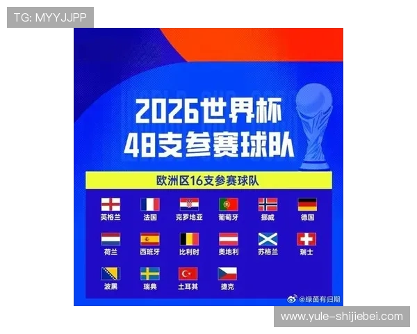 深入解读世界杯预选赛欧洲赛区最新积分榜，了解各队晋级形势与未来赛程安排