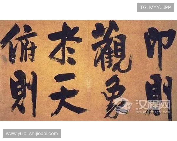 AG体育买球赛程安排全攻略,帮助新手快速了解比赛时间和投注流程 AG体育买球赛程安排全攻略,帮助新手快速了解比赛时间和投注流程